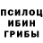 Галлюциногенные грибы MAGIC MUSHROOMS Mr.Progen