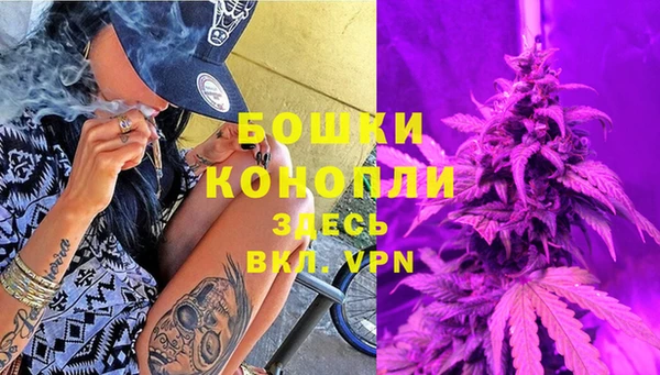 spice Осташков