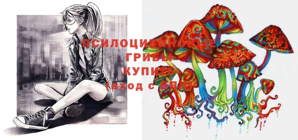 МДПВ Осинники