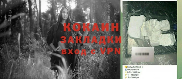 дурь Пересвет