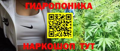 индика Азнакаево