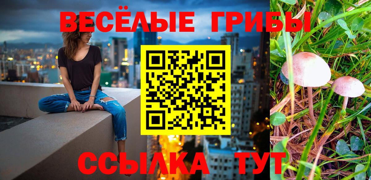 Псилоцибиновые грибы мухоморы  закладки  Вход с VPN  Алексин  Псилоцибиновые грибы GOLDEN TEACHER 
