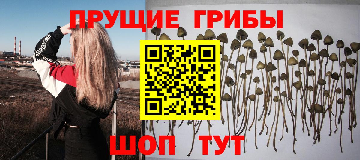 Псилоцибиновые грибы Psilocybine cubensis  Псилоцибиновые грибы MAGIC MUSHROOMS  Вход с VPN  Алексин 