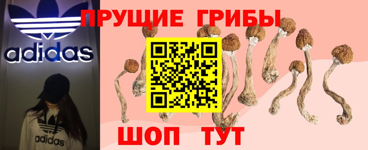 Псилоцибиновые грибы GOLDEN TEACHER Алексин