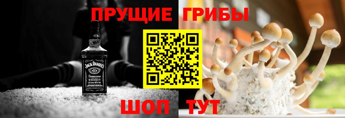 Псилоцибиновые грибы ЛСД Алексин