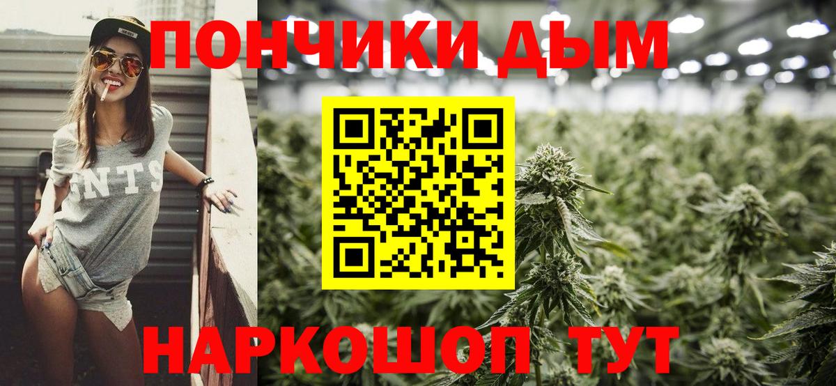 Конопля ГИДРОПОН  Вход с VPN  Алексин  Каннабис план  Шишки марихуана конопля 